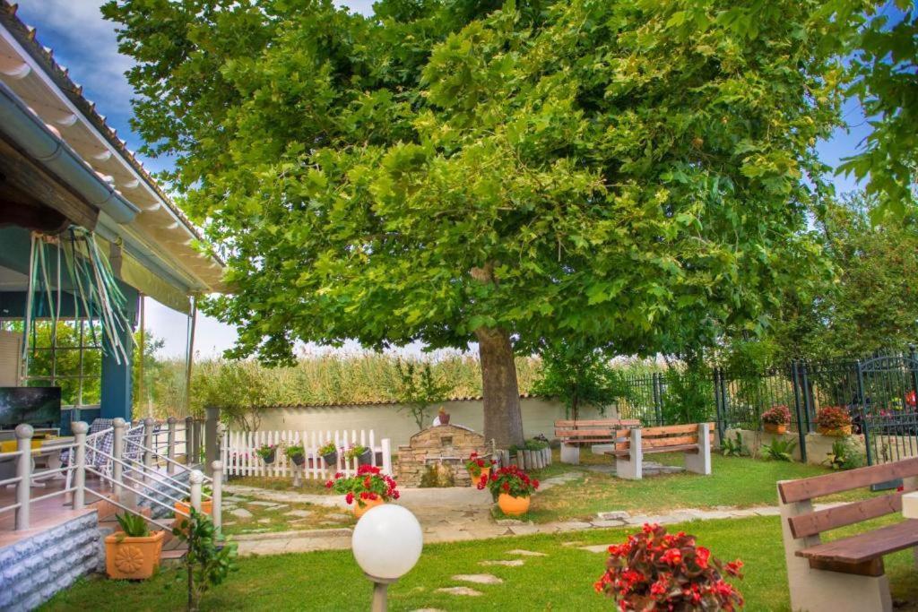 Seaside Cottage Paralia Katerinis Exterior photo